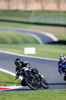 Evening Adv_Mid Group Black Bikes